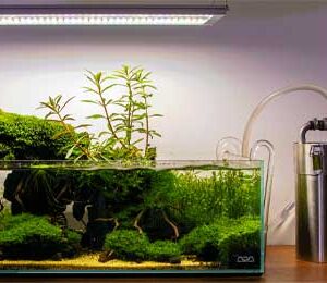 Ostala oprema i dodaci za biljke