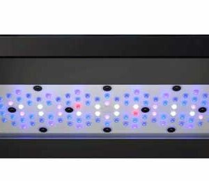 Rasveta za morski akvarijum