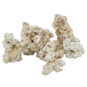 Natural reef rock