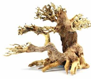 Dekoracija za akvarijum