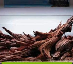 Drvo za akvarijum