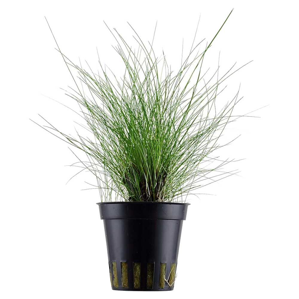 #REF!
