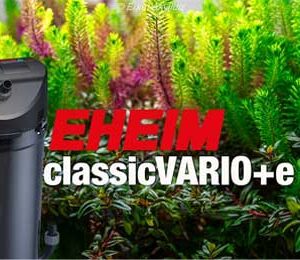 Kanister filteri za akvarijum