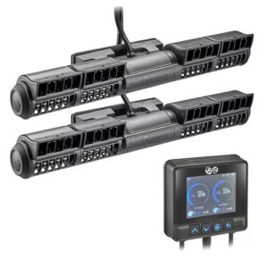 Maxspect gyre cloud edition