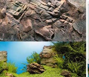 Posteri za akvarijum